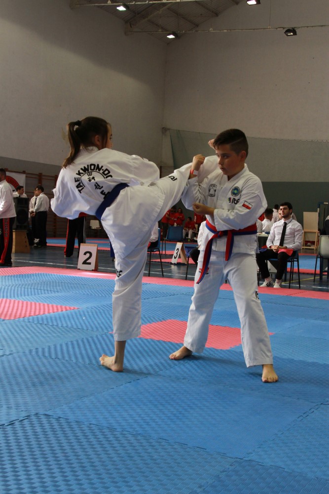 III Copa Seúl (83).jpg